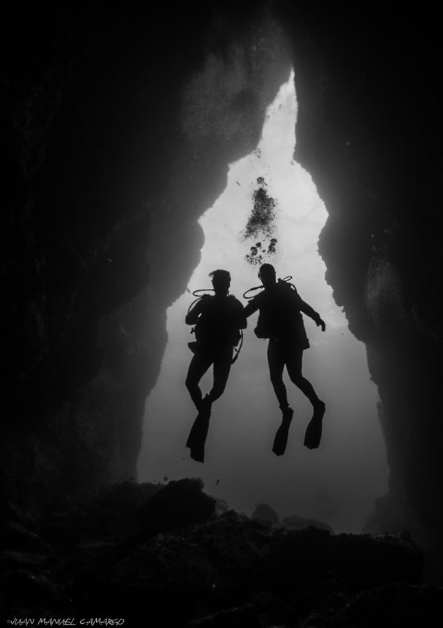 tri002126_cd183595-e30c-4fa7-a351-d6bc7417a607